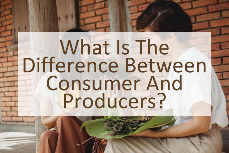 What Is The Difference Between Consumer And Producers? - Similar Different