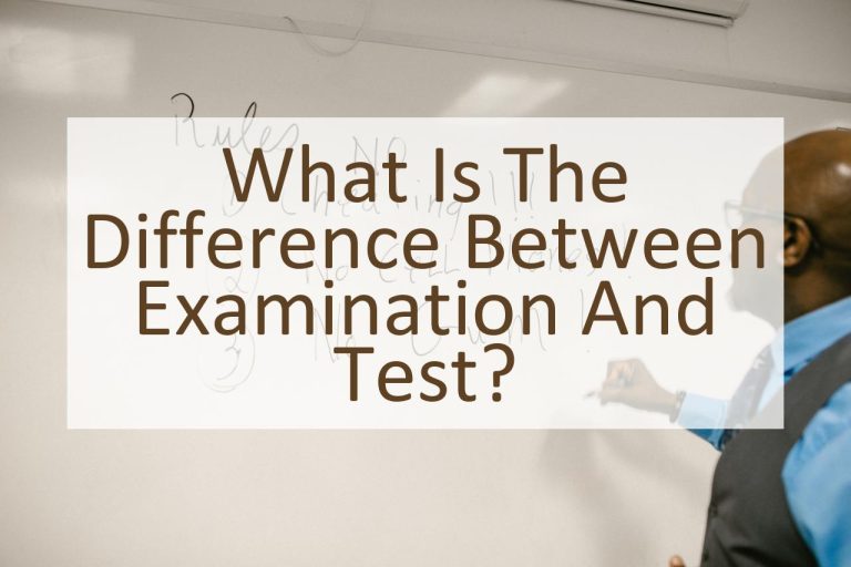 what is the difference between test and assignment